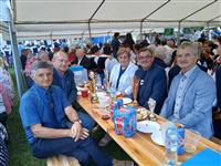 Gołębie zdjęcie